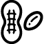 Arachidi