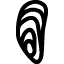 Molluschi