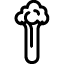 Sedano
